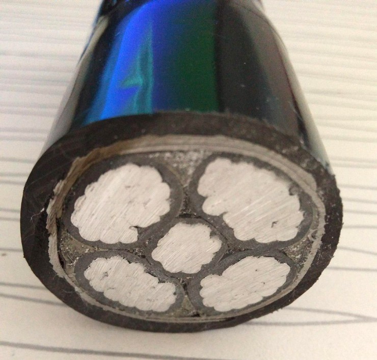 冠纜鋁芯YJLV22電力電纜 東莞珠江_鎧裝電線(xiàn)電纜